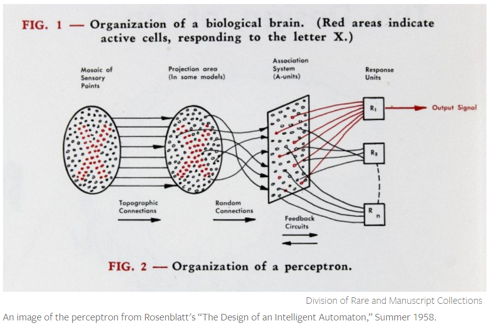 Frank Rosenblatt's perceptron model