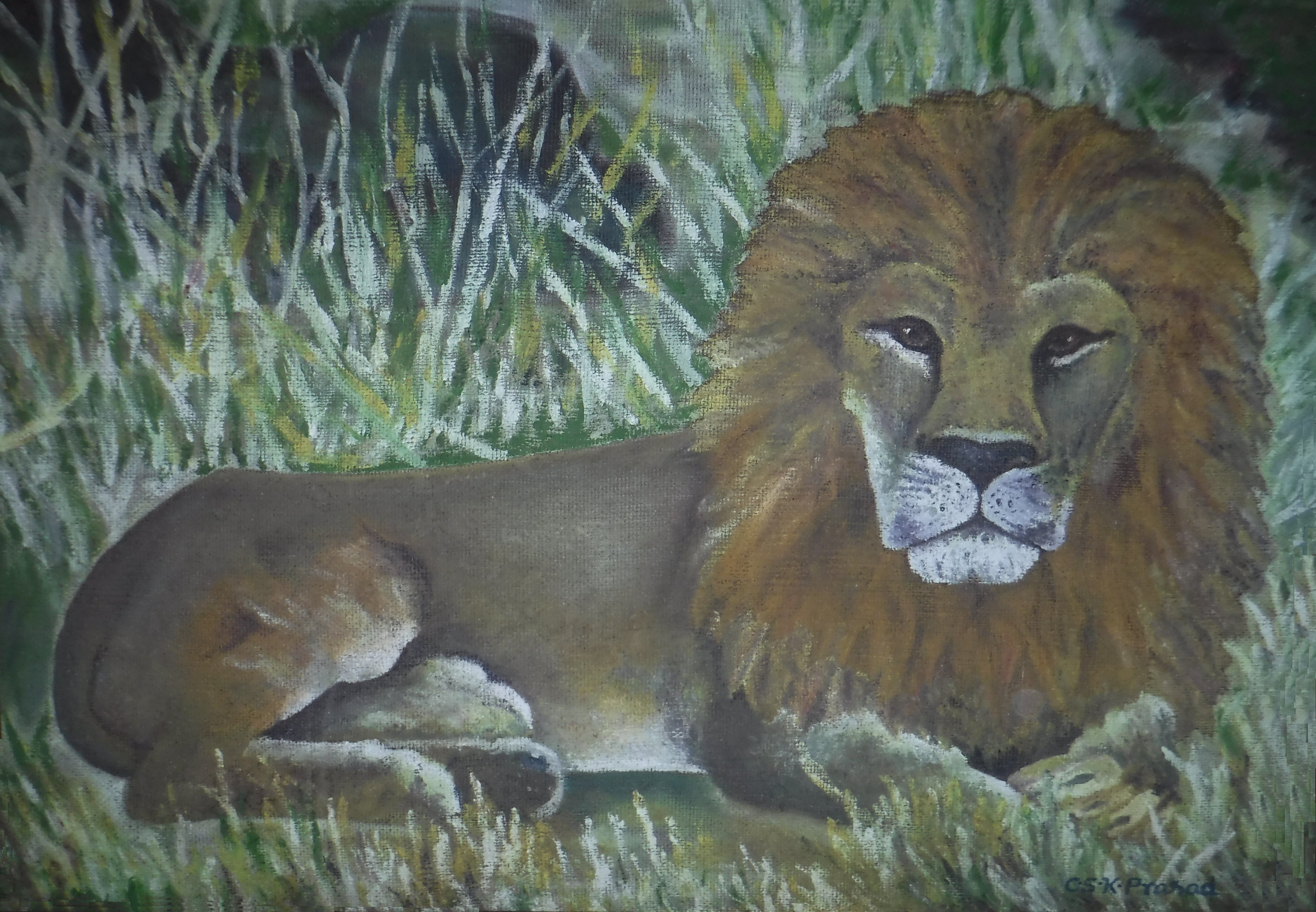 Lion