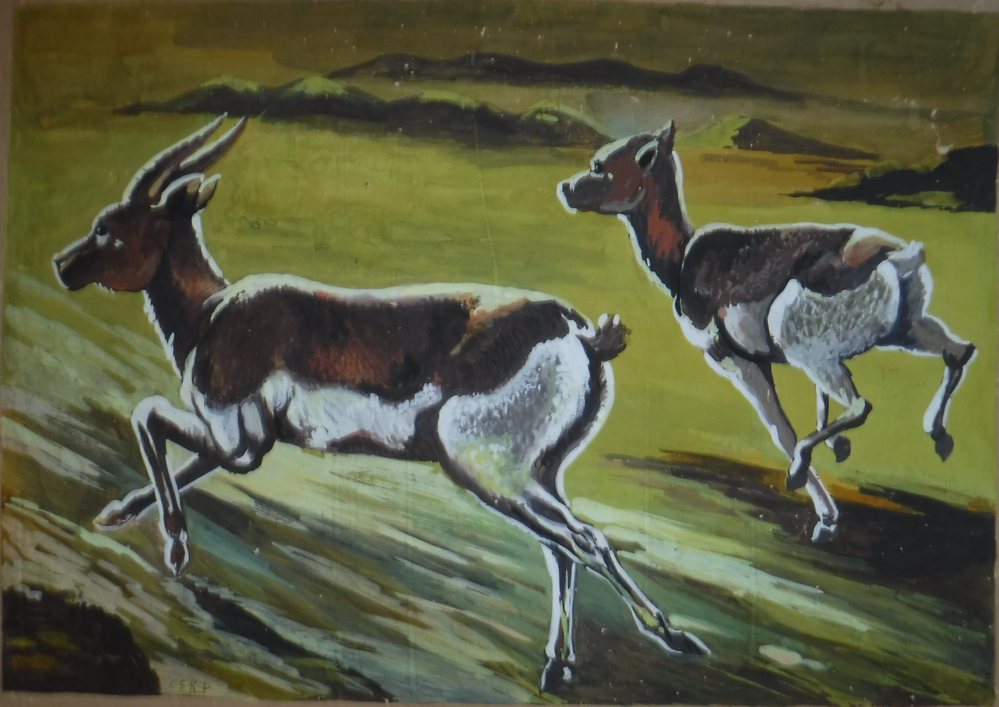 Deer