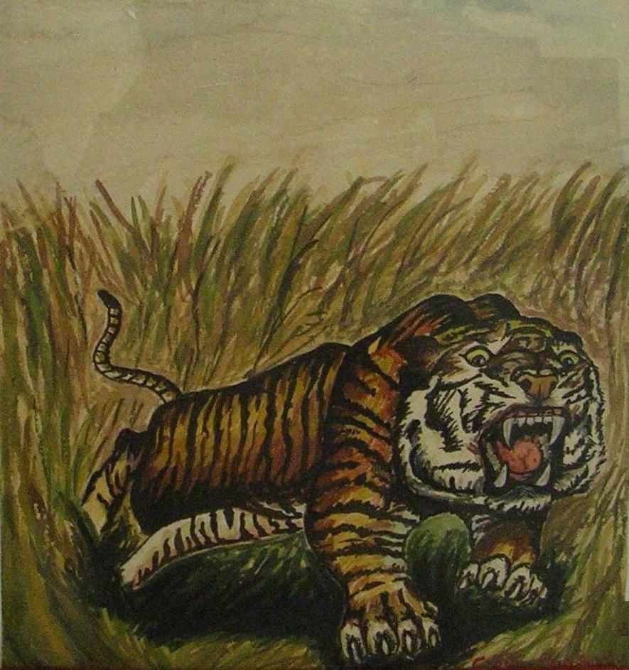 Tiger