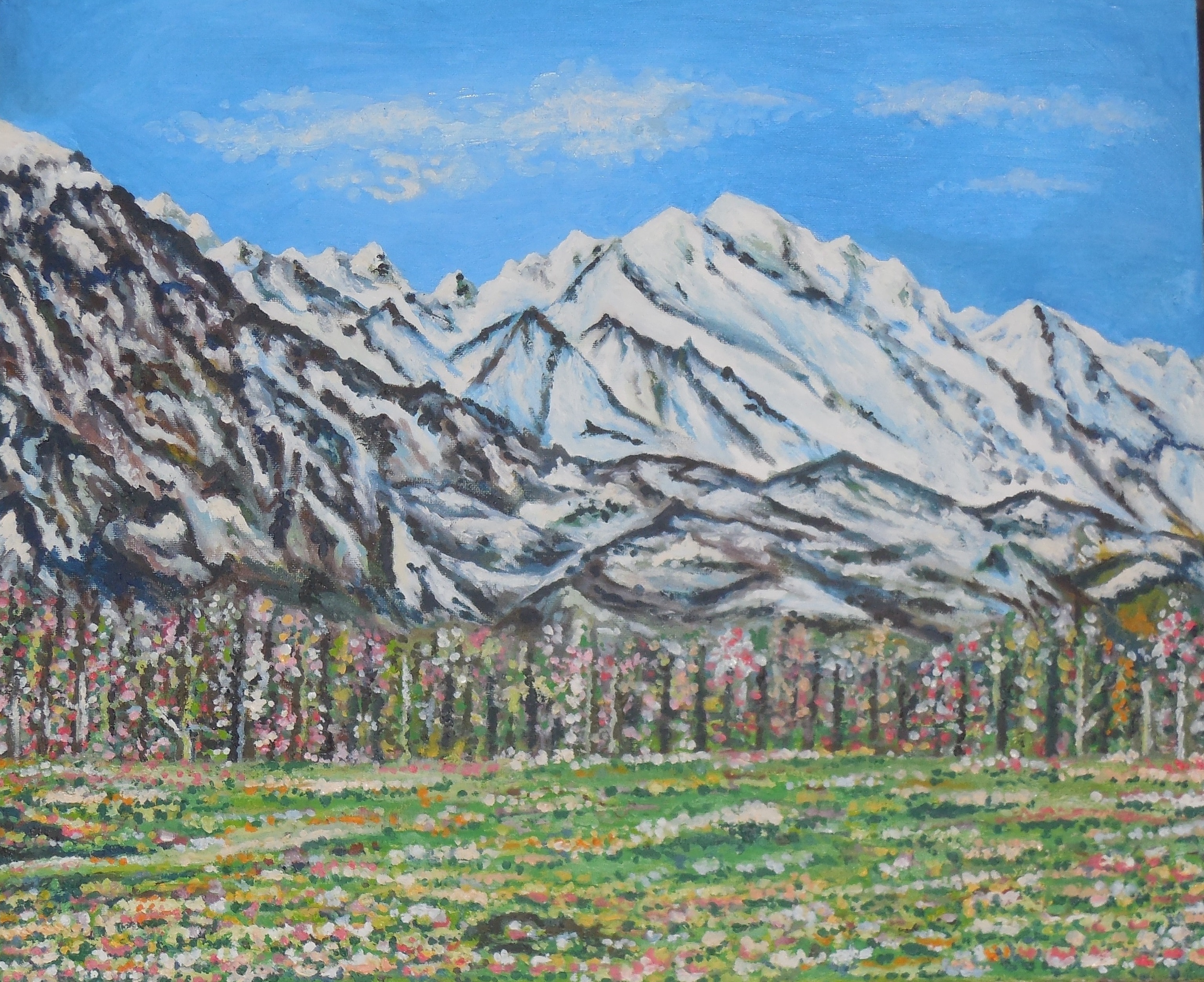Himalayas - Korakoram