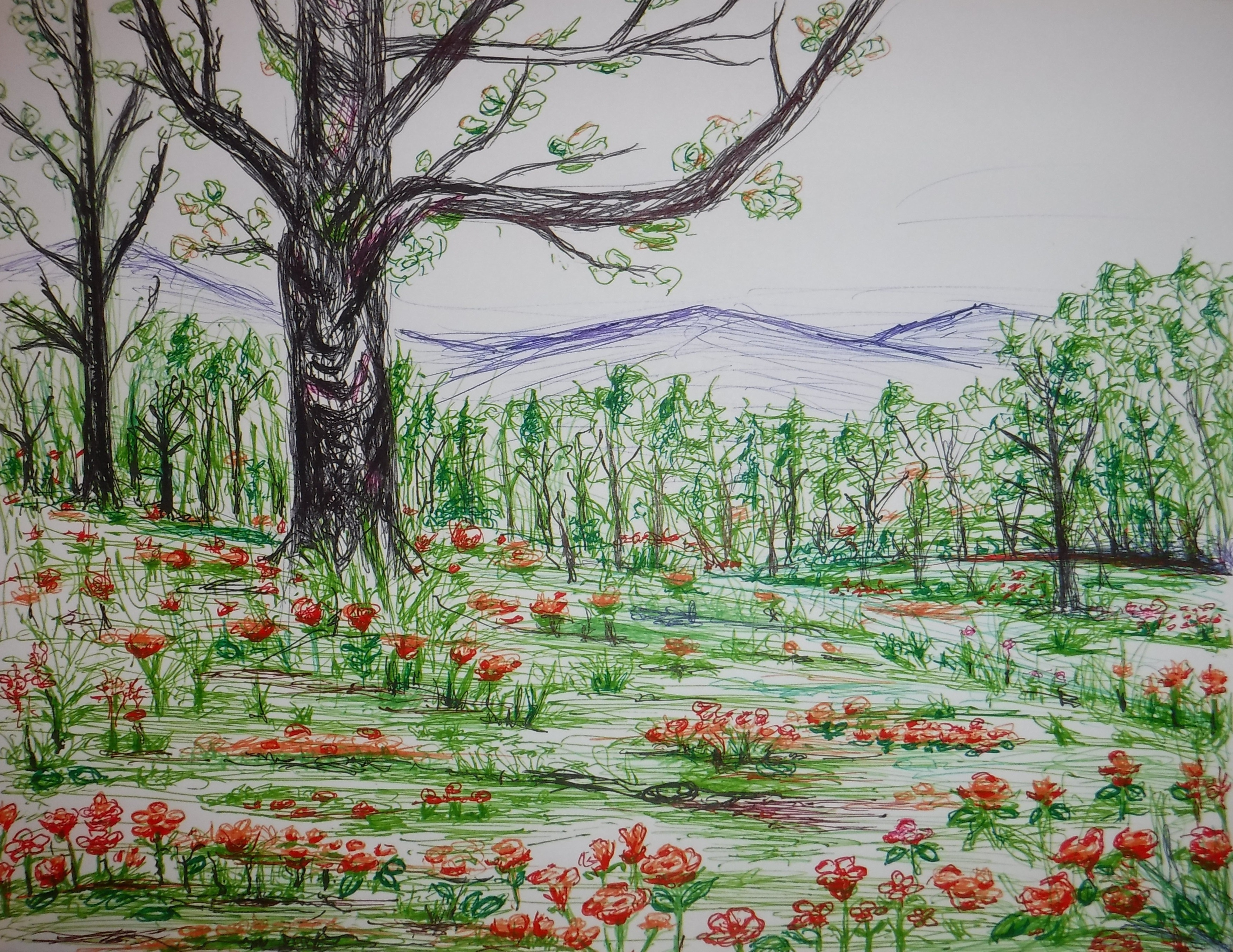 Spring