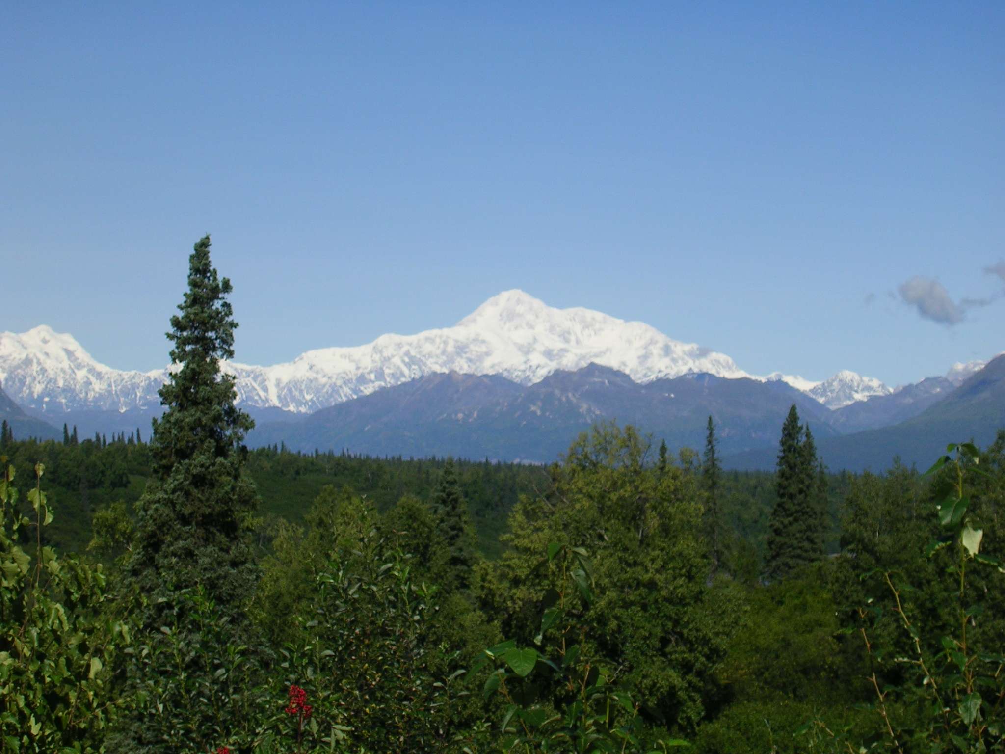 Denali Mountain