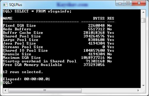 SGAinfo Output