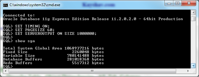 show SGA Output